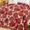 OFERTA TRIO: 3 paturi la 119 Lei